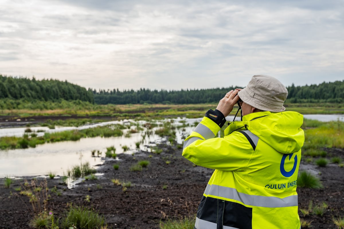 Onni-vastuullisuustyön tuomat muutokset kiinnostavat jo muutamia lintulajeja