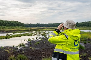 Onni-vastuullisuustyön tuomat muutokset kiinnostavat jo muutamia lintulajeja