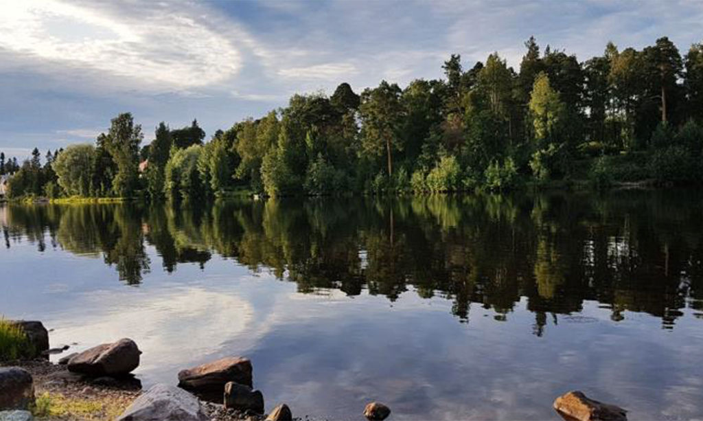 Joenvarsi kesällä.