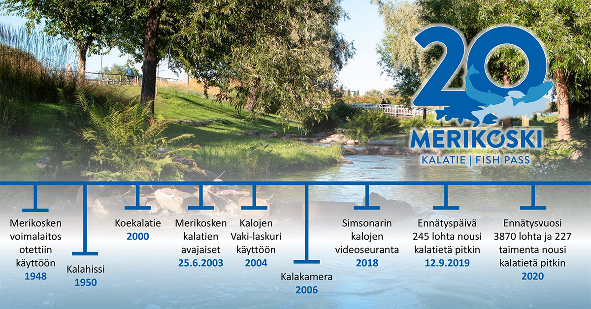 merikosken-kalatie-aikajana-1200x628px.jpg